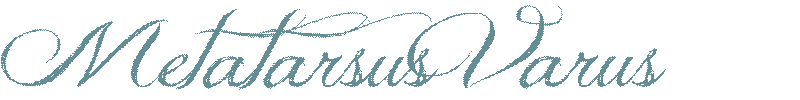 Metatarsus Varus